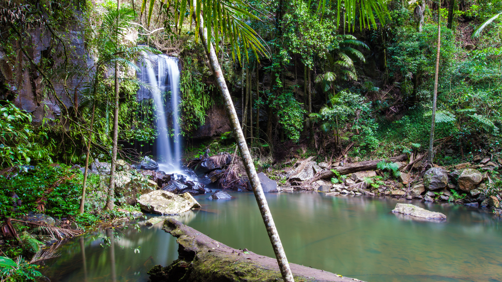 curtis-falls-mount-tambourine-waterfall