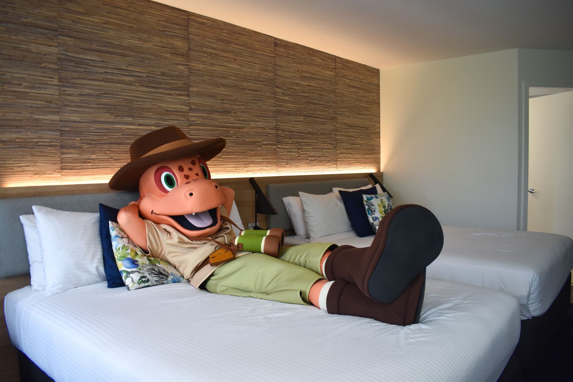 Meet our mate, Dusty