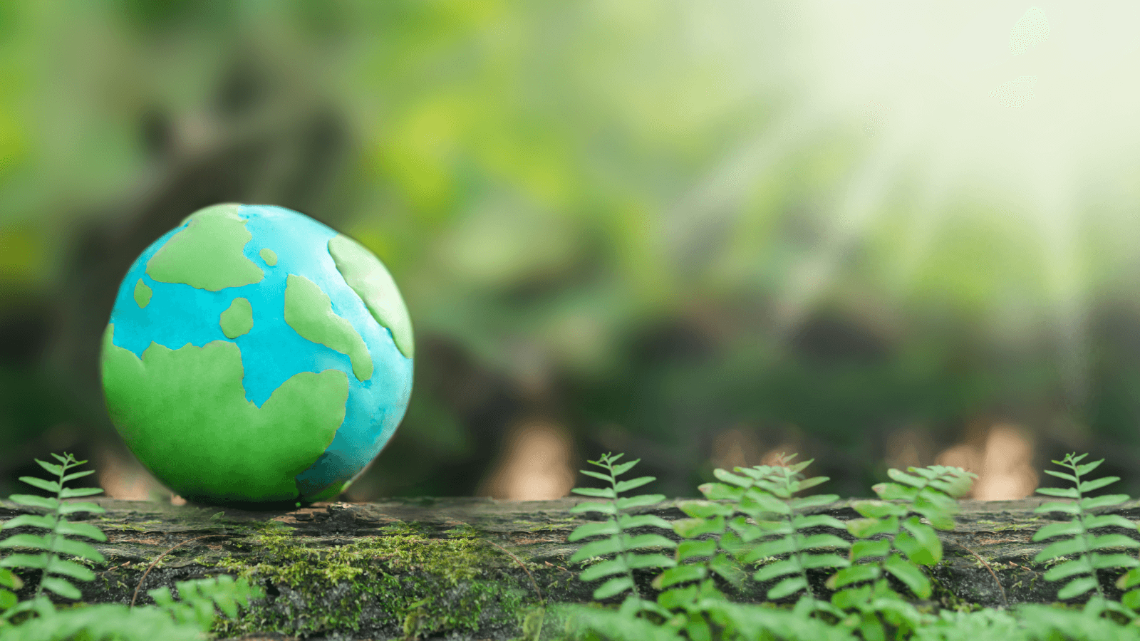 Making Positive Impacts on our Planet